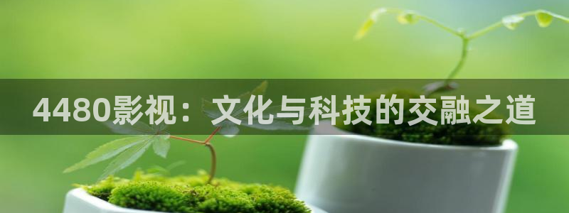 桔子的功效与作用：4480影视：文化与科技的交融之道