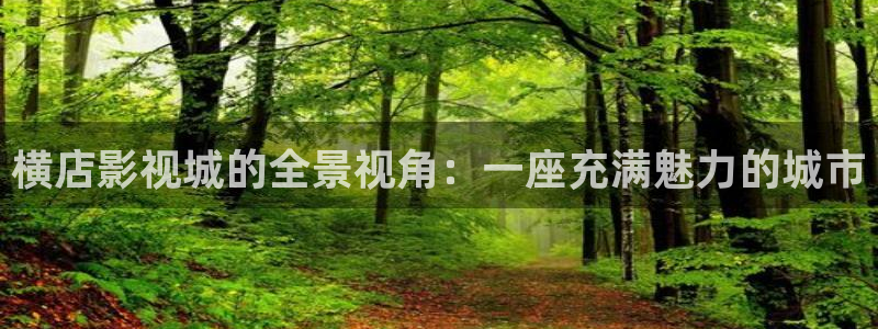 橘子桔子：横店影视城的全景视角：一座充满魅力的城市