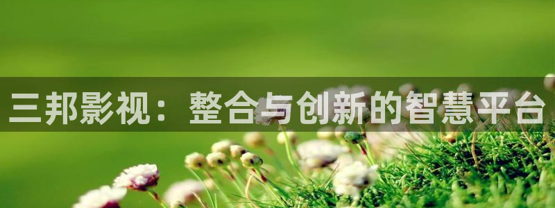 桔子视频免费观看：三邦影视：整合与创新的智慧平台