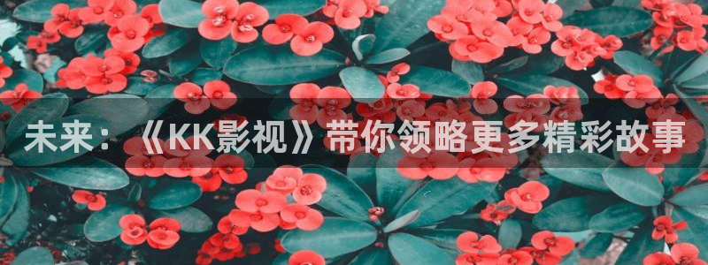 桔子影院午夜场：未来：《KK影视》带你领略更多精彩故事