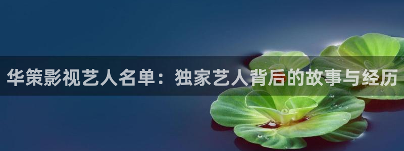 桔子私人电影：华策影视艺人名单：独家艺人背后的故事与经历