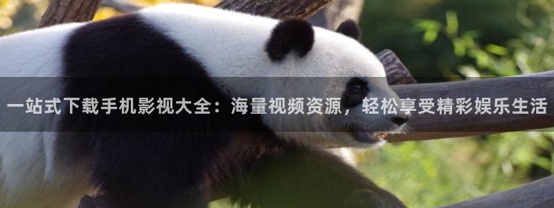 桔子影视免费观看：一站式下载手机影视大全：海量视频资源，轻松享受精彩娱乐生活