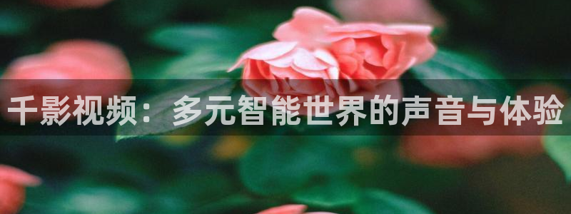 桔子在线看免费观看视频：千影视频：多元智能世界的声音与体验